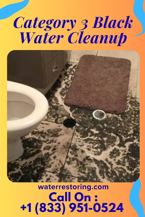 Category 3 Black Water Cleanup in Enchanted Oaks, TX